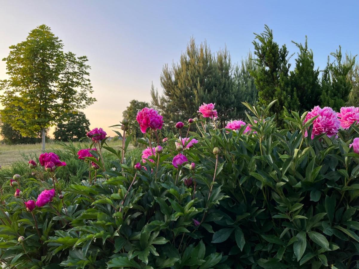 Villa Sofia Boutique Trakai Dış mekan fotoğraf