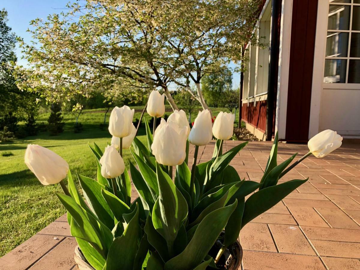 Villa Sofia Boutique Trakai Dış mekan fotoğraf